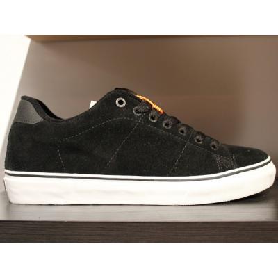 DVS