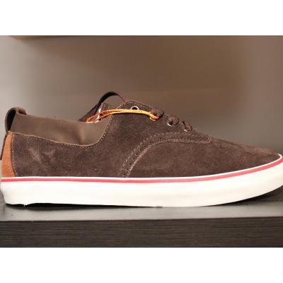 DVS
