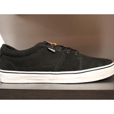 DVS