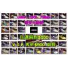 Lakai.DVS.Fallen.清貨大減價>> 任選$550兩對